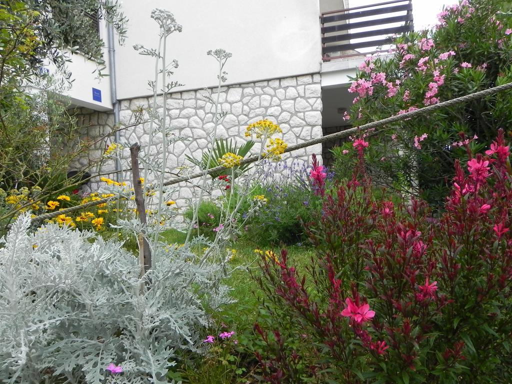 Apartments Katalenic Selce Exterior photo